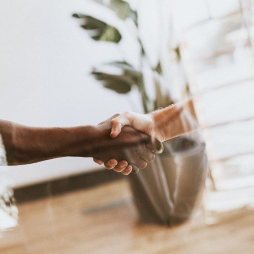 People shaking hands in a meeting