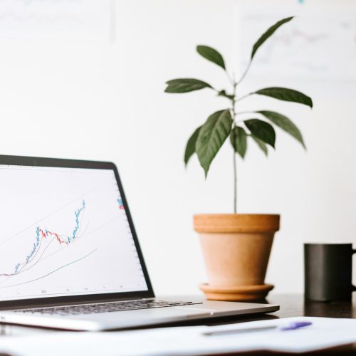 workplace of stock trader with laptop in minimalistic style. Working Desk of investment manager with with green plant and cup of coffee. stocks price rising graph data trend laptop screen.