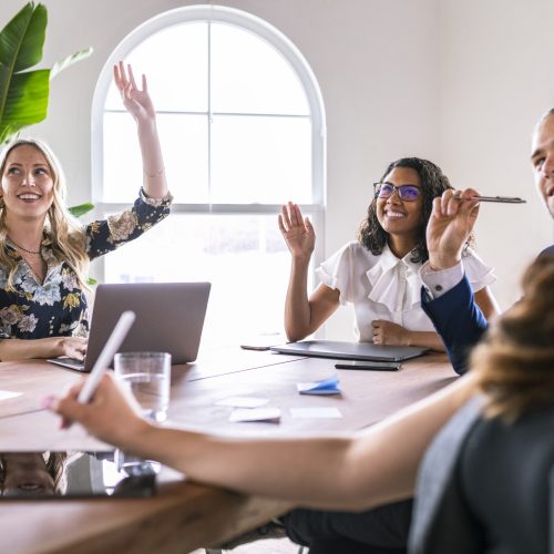 Diverse business people in a meeting